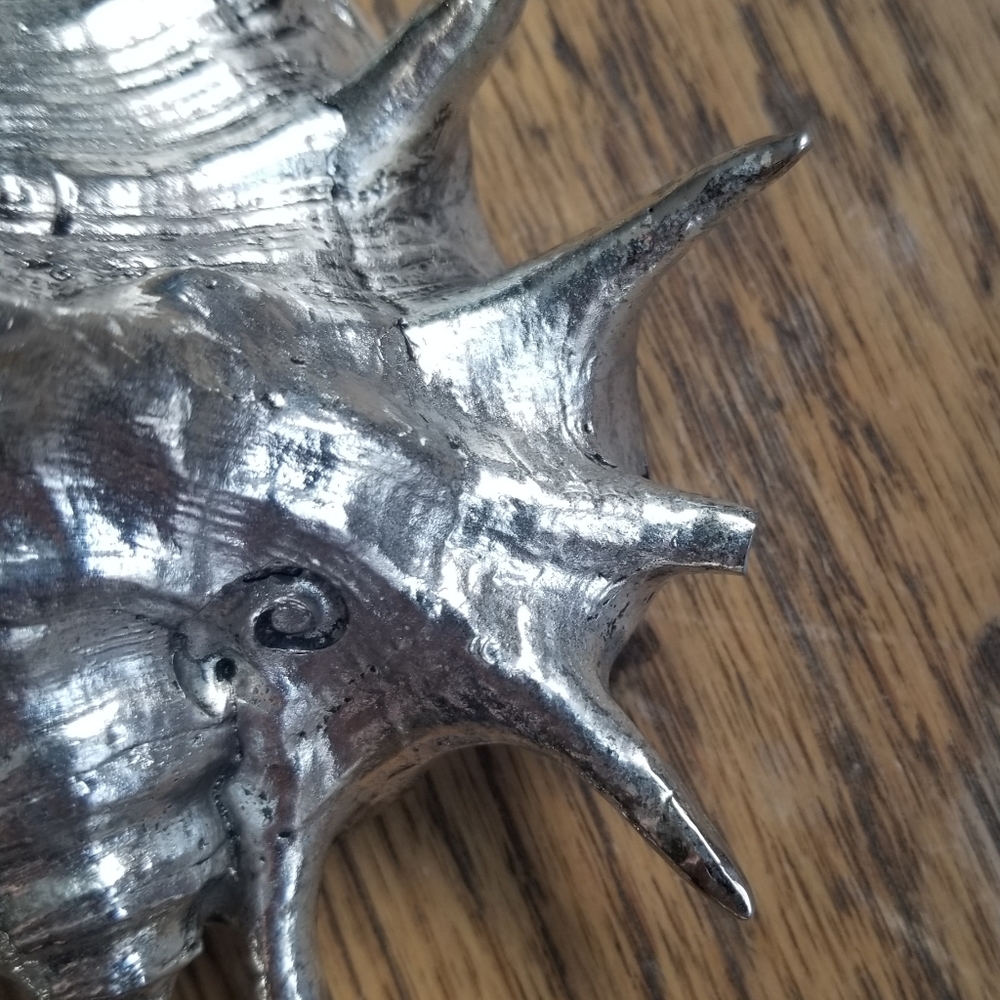 Silver Shell Decor - Picture 4 of 4